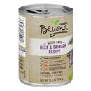 Purina Beyond Grain Free Beef & Spinach Recipe in Gravy Dog Food