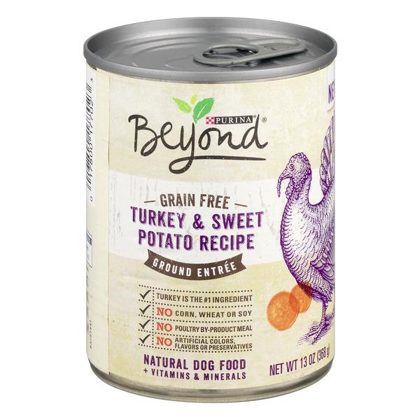 beyond purina wet dog food