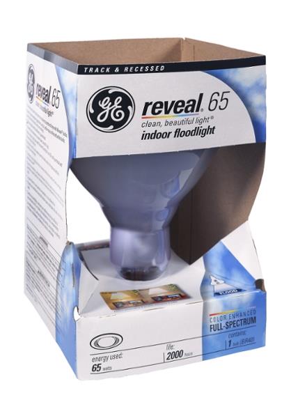 reveal 65 watt flood light